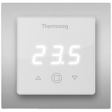 Thermoreg TI-300 Color SE Silver