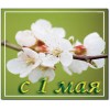 С праздником 1 мая!